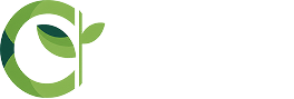 Mabelle Wellness Aesthetic